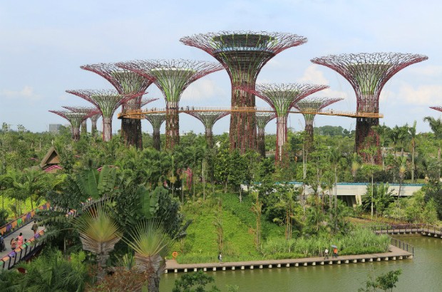 Tree-like buildings at Gardens by the Bay, Singapore (credit: Shiny Things/CC BY-NC 2.0)